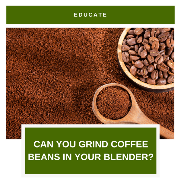 Can You Grind Coffee Beans In Your Blender? Grizzee