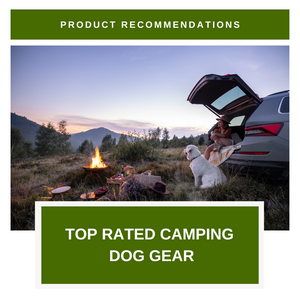 Top Rated Camping Dog Gear