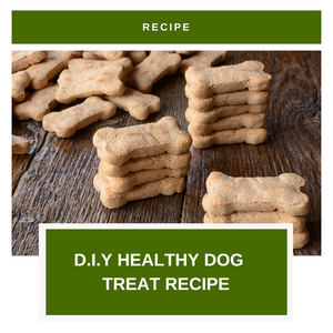 D.I.Y Healthy Dog Treats