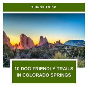10 Dog Friendly Trails In Colorado Springs