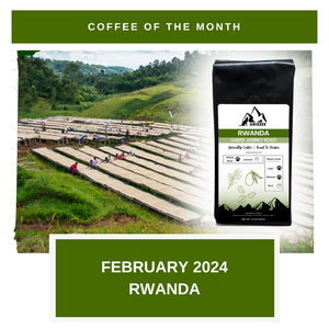 February 2024 - Guided Journey, Coffee of the Month