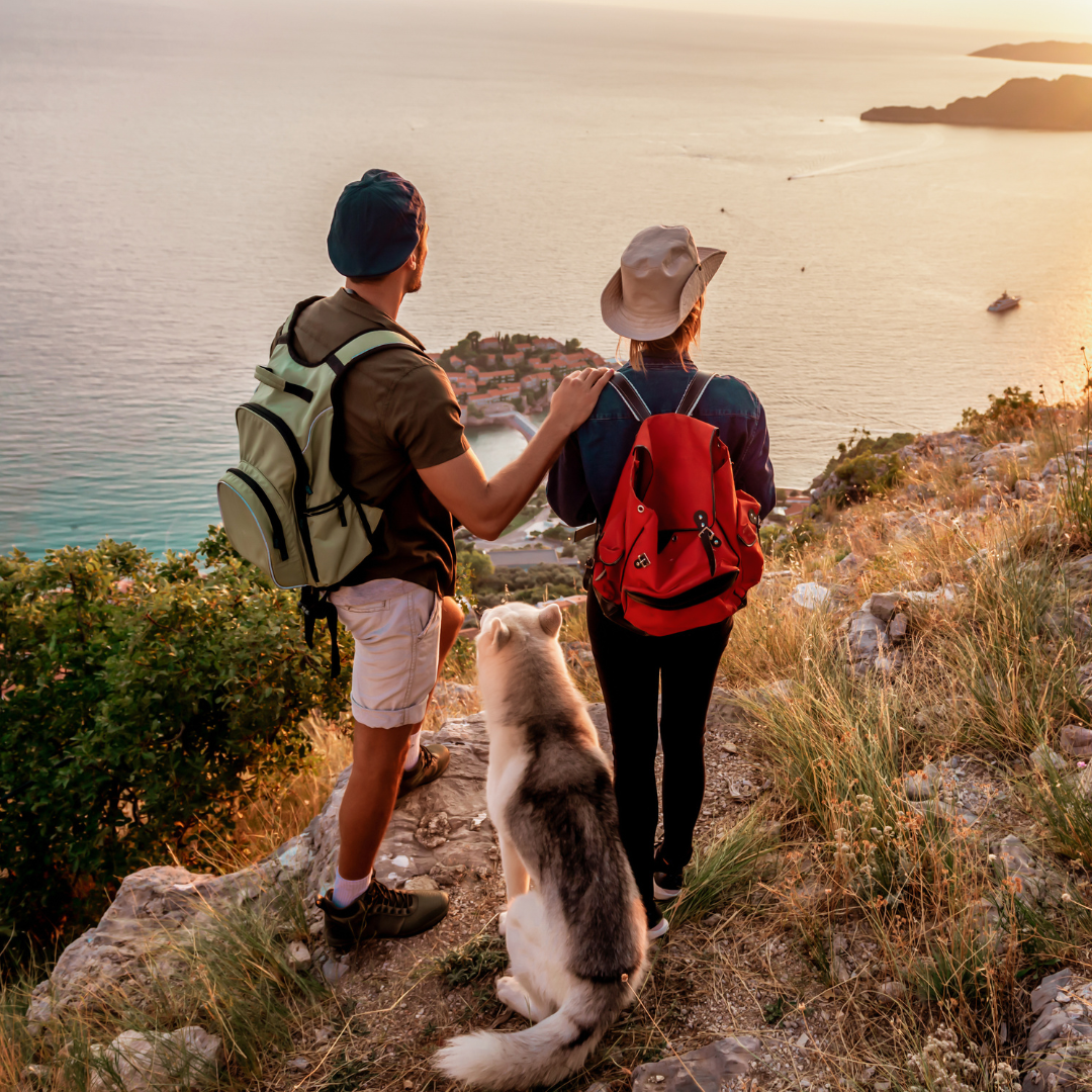 Specialty Grade Coffee - Colorado Springs