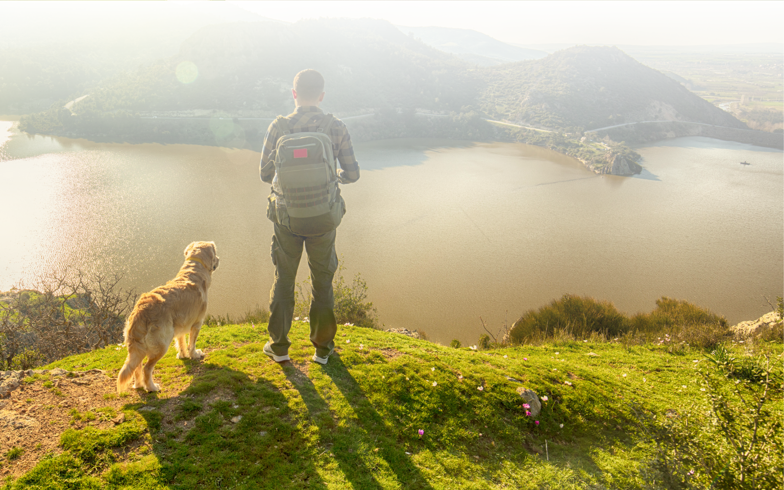 Specialty Grade Coffee - Colorado Springs