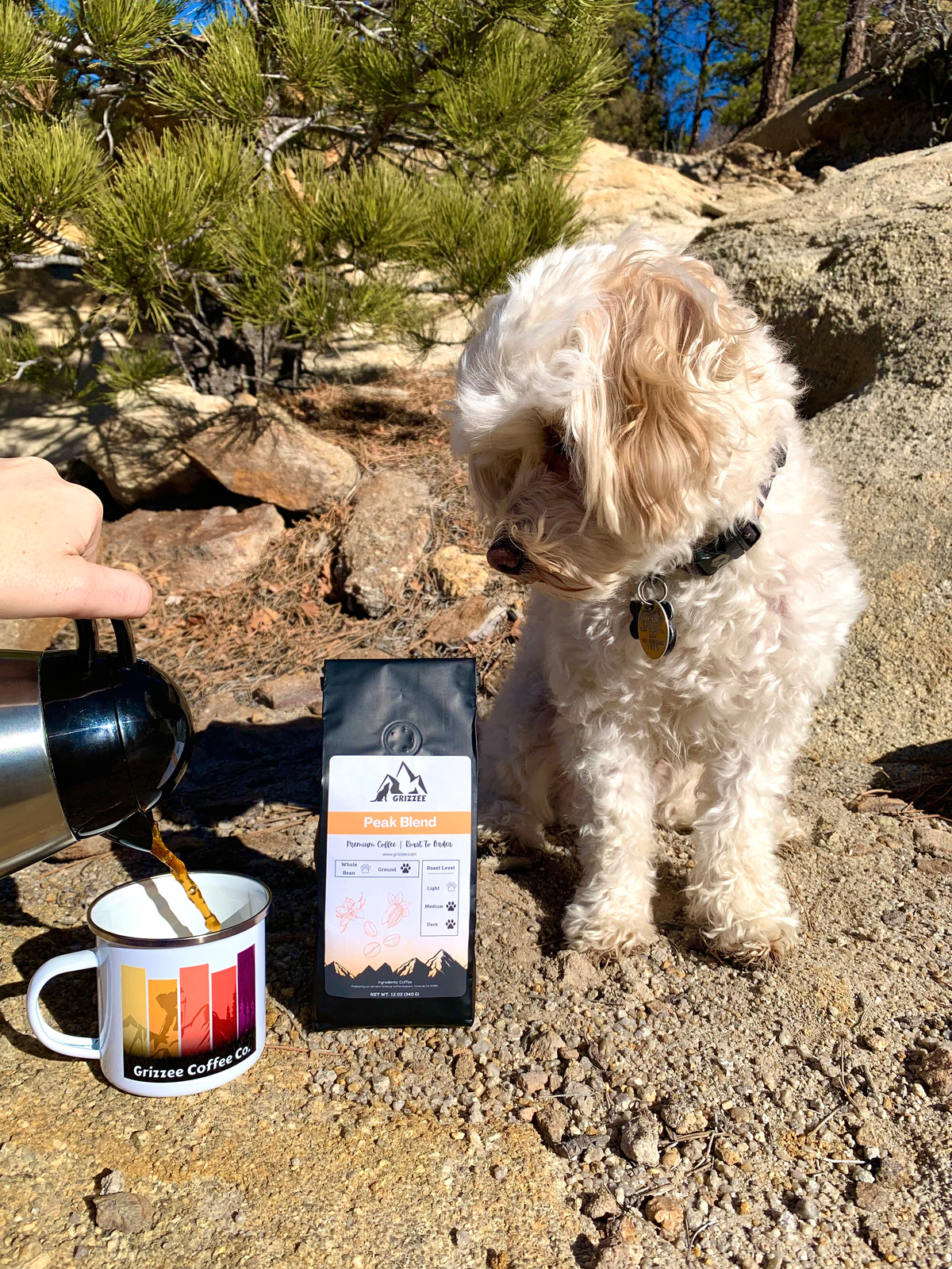 Grizzee coffee - Getting pets and people outdoors